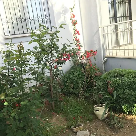 Sahile 1 Km Doga Manzarali Dublex Daire Appartamento